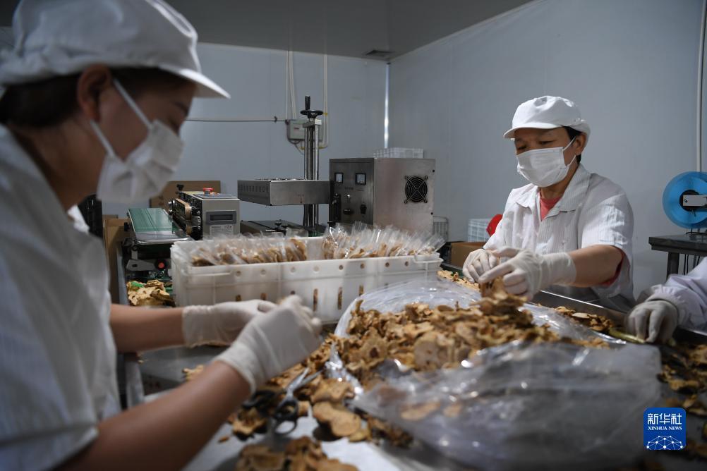 问鼎平台下载入口